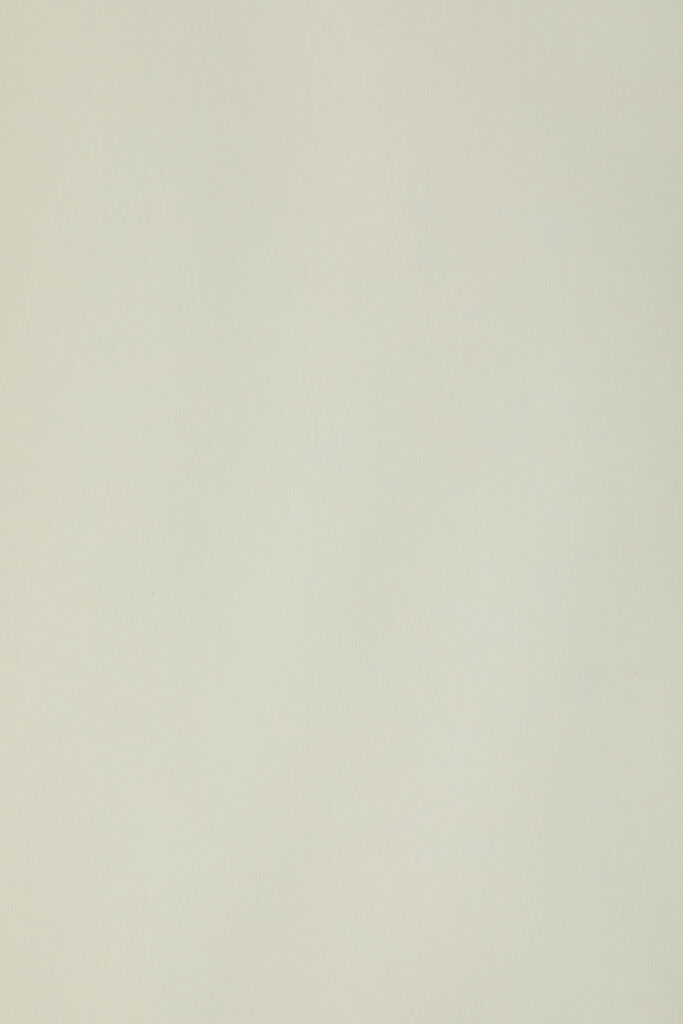 COROLLA BEIGE