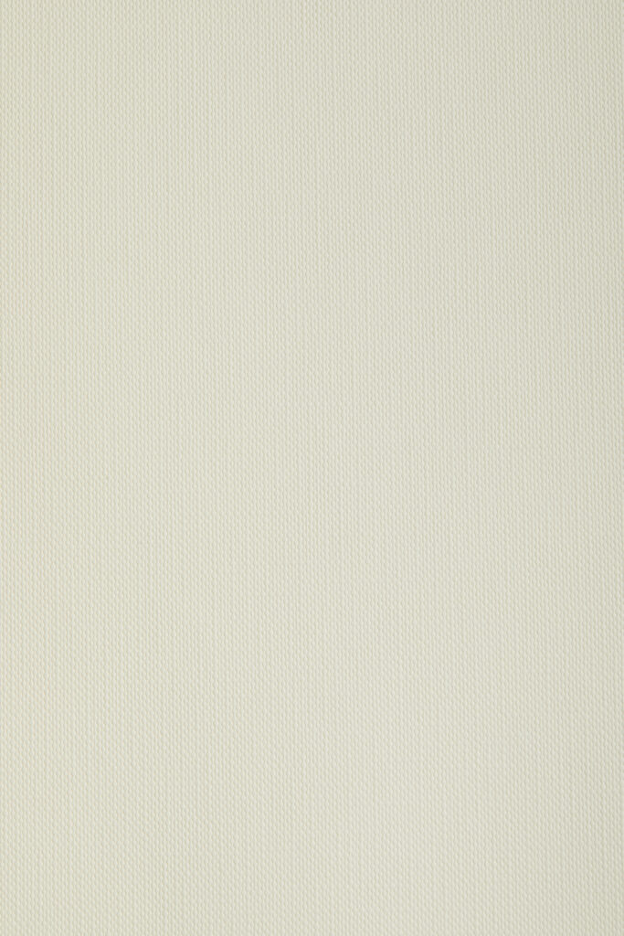 Bianco, E/R05 Tela