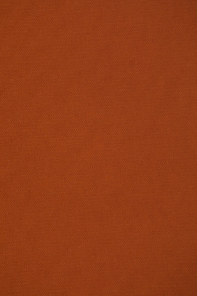 ginger brown, E/R55 Aida
